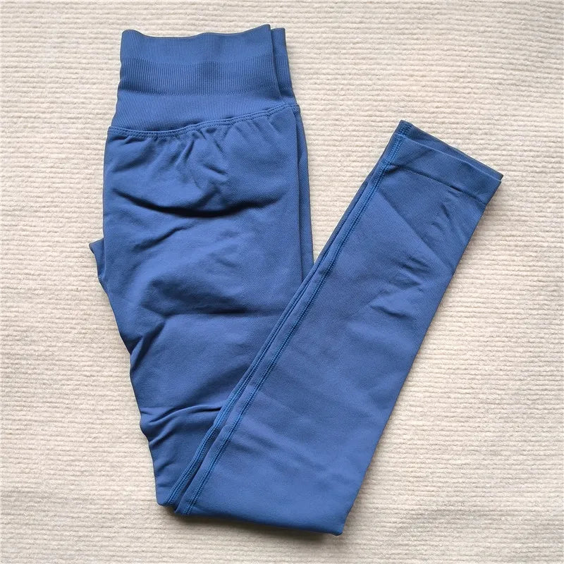 Seamless Sporty Leggings - High-Impact Tummy Control Yoga Pants