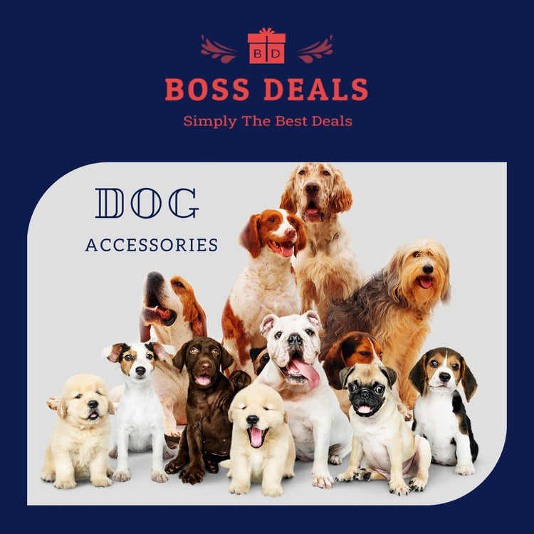 Dog Accessories