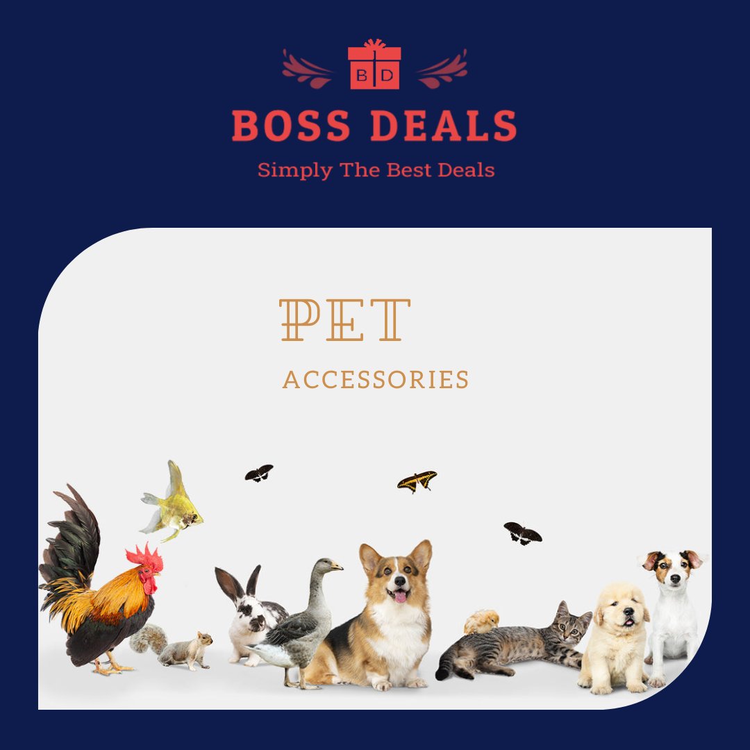 Pet Accessories