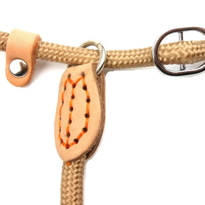 Braided Adjustable Loop Collar Training Leash