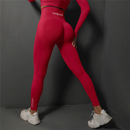 Seamless High Waist Leggings for Women