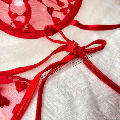 Sheer Lace Heart Embroidery Bra & Panty Set – Sexy Fairy-Inspired Lingerie