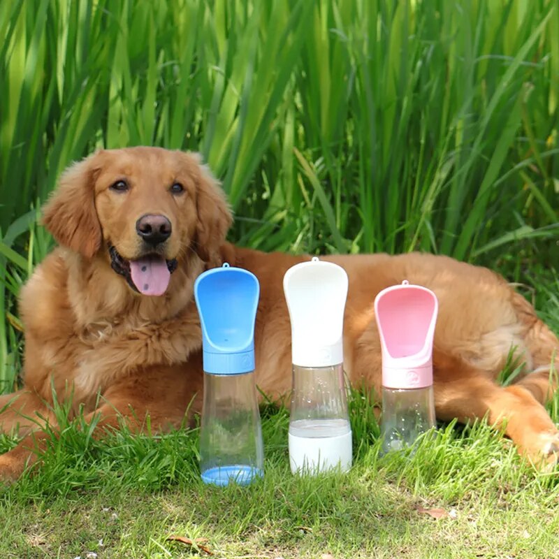 2 in 1 Portable Pet Water Bottle and Feeder