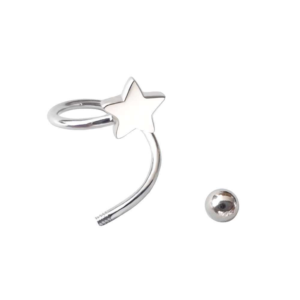 2Pcs Stainless Steel Piercing Screw Earrings